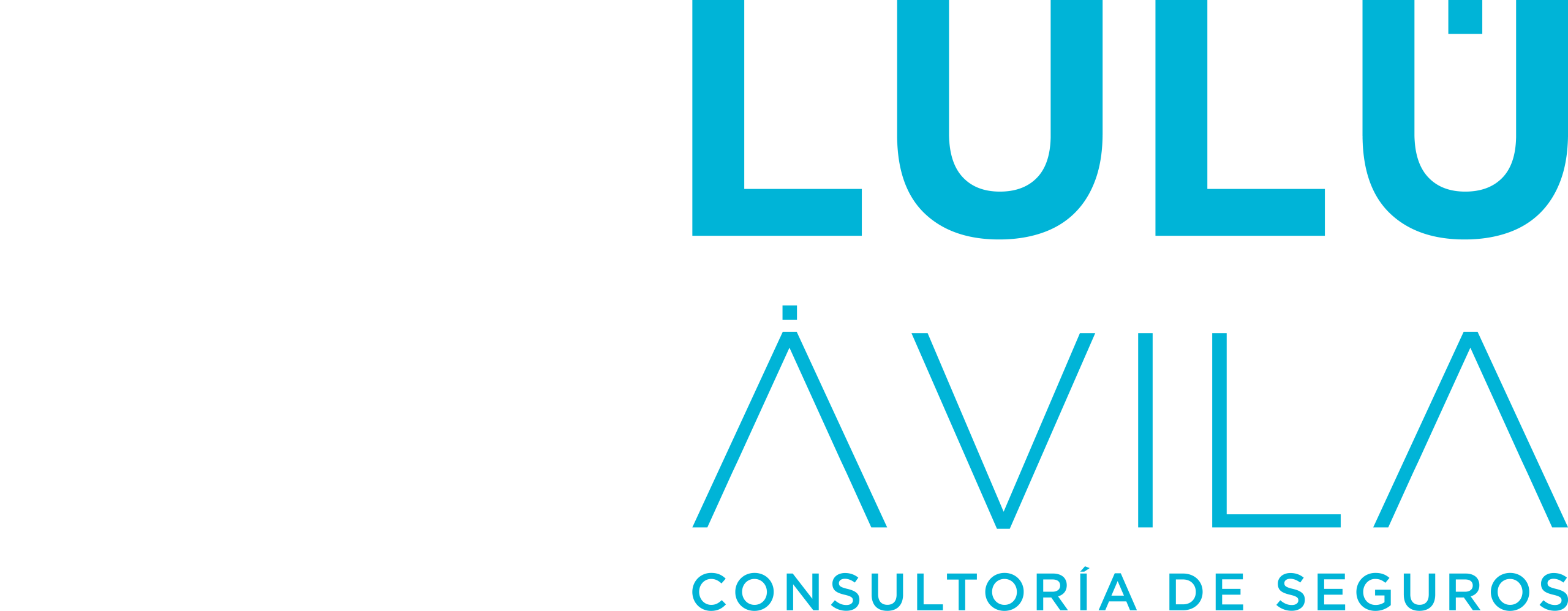 Lulú Ávila · Consultoría de Seguros